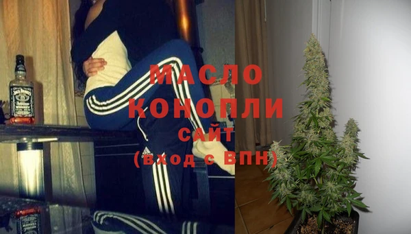 стаф Пересвет