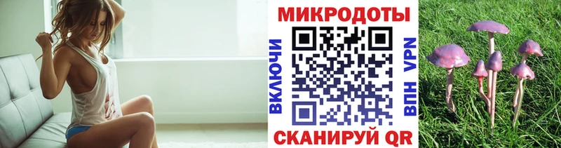 Псилоцибиновые грибы Magic Shrooms магазин продажи Торопец